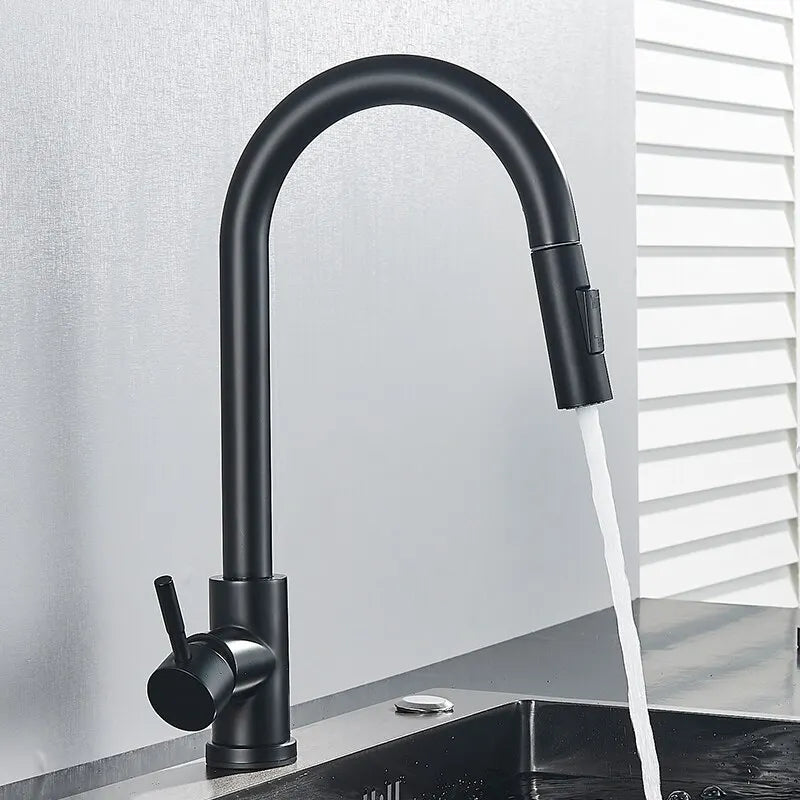 FlexiFlow Black: Dual-Mode Pull-Out Kitchen Faucet
